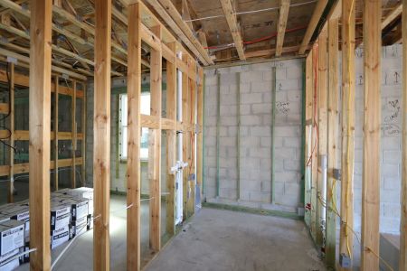 New construction Single-Family house 2868 Misty Marble Drive, Zephyrhills, FL 33540 Herrera- photo 58 58