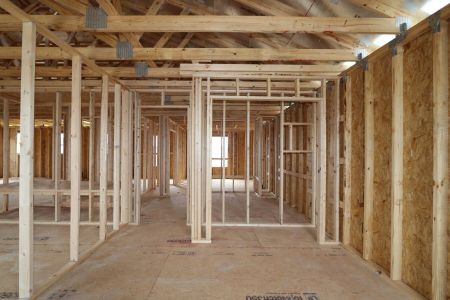 New construction Single-Family house 9358 Crescent Ray Drive, Wesley Chapel, FL 33545 Renau- photo 7 7