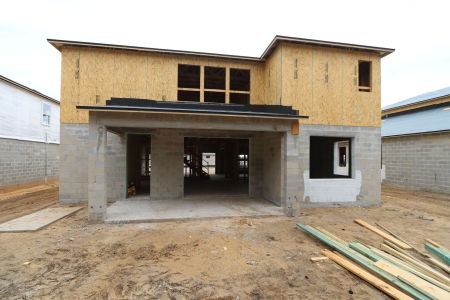 New construction Single-Family house 12114 Hilltop Farms Drive, Dade City, FL 33525 Alenza- photo 20 20