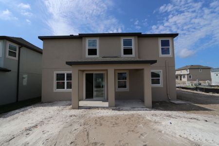 New construction Single-Family house 9358 Crescent Ray Drive, Wesley Chapel, FL 33545 Renau- photo 59 59