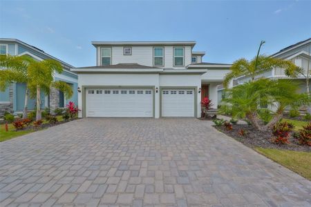 New construction Single-Family house 933 Signet Drive, Apollo Beach, FL 33572 - photo 0