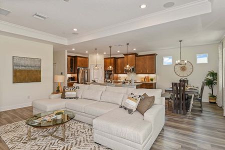 Tea Olive Terrace at the Fairways by William Ryan Homes in Palmetto - photo 18 18