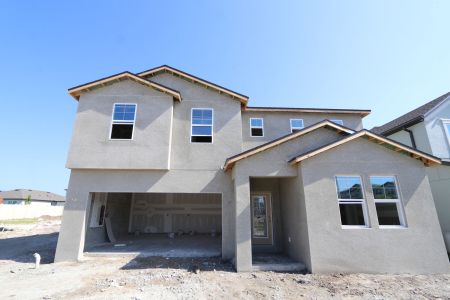 New construction Single-Family house 9358 Crescent Ray Drive, Wesley Chapel, FL 33545 Renau- photo 30 30