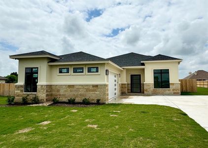 New construction Single-Family house 349 Meadow Valley Loop, Jarrell, TX 76537 - photo 0 0