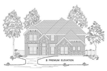 New construction Single-Family house 2808 Fountain Park Drive, Celina, TX 75009 - photo 2 2