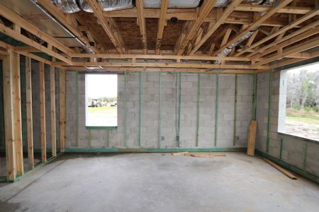 New construction Single-Family house 10614 New Morning Drive, Tampa, FL 33647 Grandsail  III- photo 14 14