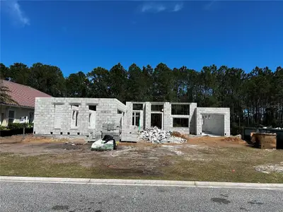 New construction Single-Family house 235 Conservatory Drive, Palm Coast, FL 32137 - photo 1 1