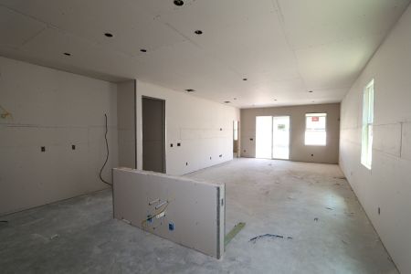 New construction Single-Family house 31843 Sapna Chime Drive, Wesley Chapel, FL 33545 Picasso- photo 58 58