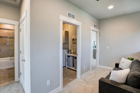 New construction Multi-Family house 950 Schlagel Street, Unit 3, Fort Collins, CO 80524 Timberline- photo 38 38