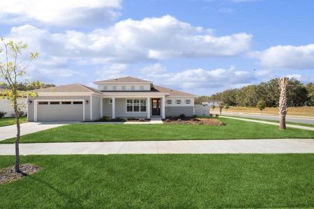 New construction Single-Family house 428 Sw 144 Drive, Newberry, FL 32669 - photo 0 0