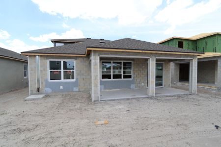 New construction Single-Family house 31835 Sapna Chime Drive, Wesley Chapel, FL 33545 Salinas- photo 36 36