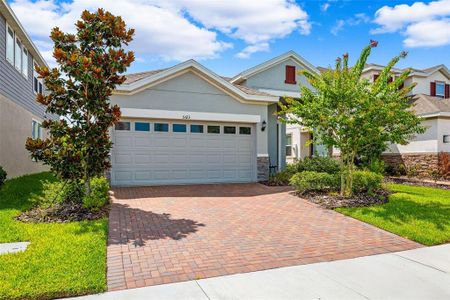 New construction Single-Family house 5613 Del Coronado Drive, Apollo Beach, FL 33572 - photo 3 3