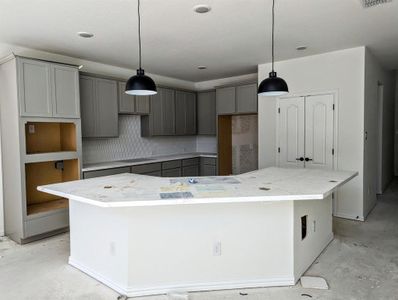 New construction Single-Family house 200 Windgate Dr, Hutto, TX 78634 Premier Series - Magnolia- photo