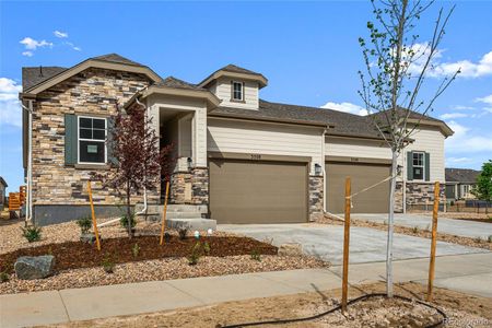 New construction Single-Family house 3508 N Duquesne Court, Aurora, CO 80019 Sand Dune - With Opt. Basement- photo 22 22
