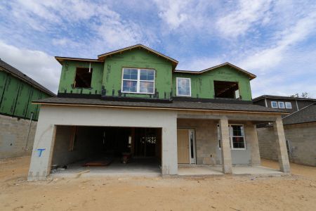 New construction Single-Family house 12078 Hilltop Farms Drive, Dade City, FL 33525 Mira Lago- photo 11 11