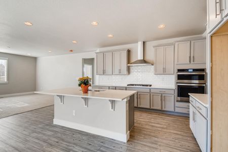 New construction Single-Family house 259 Marlowe Drive, Erie, CO 80516 - photo 8 8
