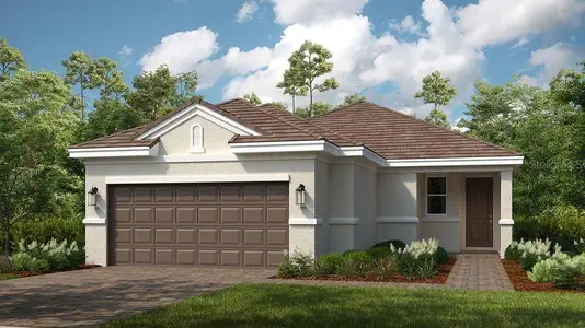 New construction Single-Family house 5249 Savino Circle, Palmetto, FL 34221 Bergamo- photo 0