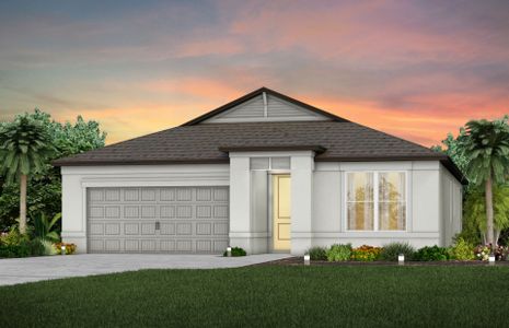 New construction Single-Family house 20876 Drake Elm Drive, Land O' Lakes, FL 34638 - photo 1 1