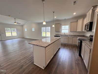 New construction Single-Family house 171 Red River Drive, Selma, NC 27576 - photo 2 2