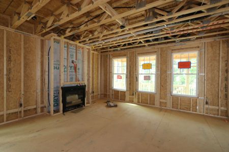 New construction Single-Family house 3113 Armeria Drive, Apex, NC 27502 Brittain - Signature Collection- photo 7 7