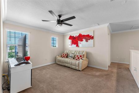 New construction Single-Family house 5166 Northern Flicker Drive, Saint Cloud, FL 34771 - photo 13 13