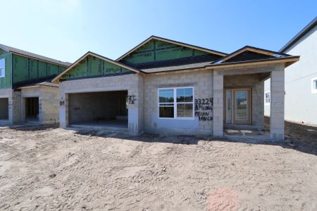 New construction Single-Family house 33224 Amling Pecan Branch, Wesley Chapel, FL 33545 Newport II- photo 17 17