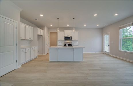 New construction Single-Family house 76 Scout Way, Newnan, GA 30263 - photo 11 11