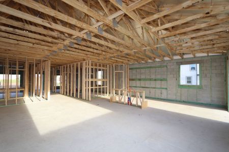 New construction Single-Family house 2941 Marine Grass Drive, Wimauma, FL 33598 Barcello- photo 27 27