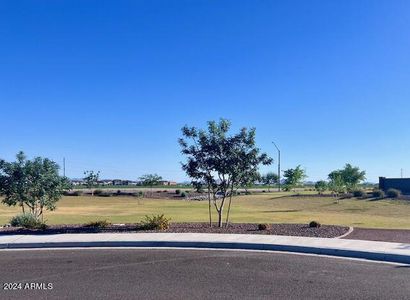 New construction Single-Family house 17918 W Toronto Way, Goodyear, AZ 85338 - photo 34 34