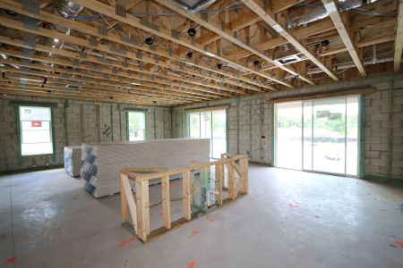 New construction Single-Family house 10634 New Morning Drive, Tampa, FL 33647 Grandshore II- photo 32 32