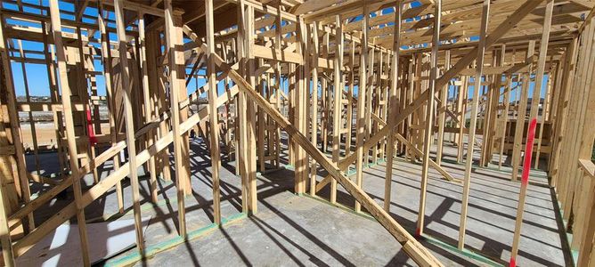 New construction Single-Family house 104 Pinyon Pine Pass, Hutto, TX 78634 Livingston Homeplan- photo 16 16