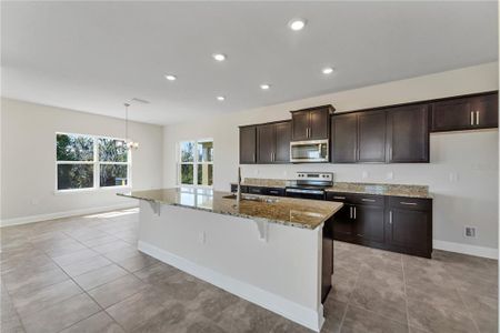 New construction Single-Family house 2019 Fresh Water Street, Leesburg, FL 34748 - photo 7 7