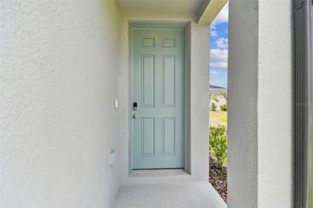 New construction Townhouse house 32431 Limitless Place, Wesley Chapel, FL 33545 Windsor- photo 6 6