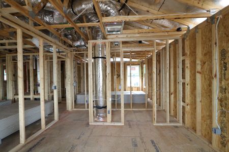New construction Single-Family house 31835 Sapna Chime Drive, Wesley Chapel, FL 33545 Salinas- photo 38 38