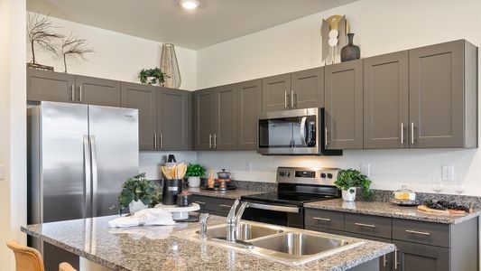 New construction Duplex house 1749 Floating Leaf Drive, Fort Collins, CO 80528 - photo 8 8