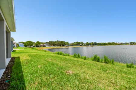 New construction Single-Family house 11857 Mile Marsh Dr, Riverview, FL 33569 The Burgert- photo 44 44