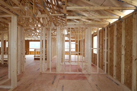 New construction Single-Family house 9611 Crescent Ray Drive, Wesley Chapel, FL 33545 Dali- photo 12 12
