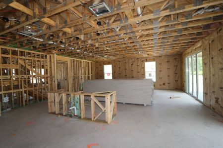 New construction Single-Family house 10634 New Morning Drive, Tampa, FL 33647 Grandshore II- photo 54 54