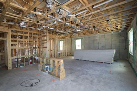New construction Single-Family house 2857 Misty Marble Drive, Zephyrhills, FL 33540 Castellana- photo 22 22