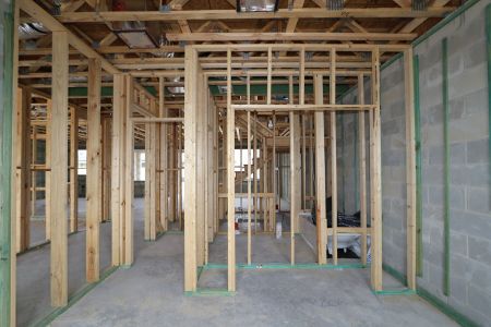 New construction Single-Family house 9358 Crescent Ray Drive, Wesley Chapel, FL 33545 Renau- photo 6 6