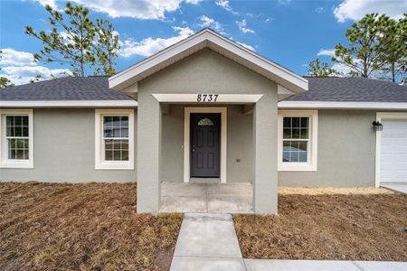 New construction Single-Family house 2745 Sw 151St Avenue, Ocala, FL 34481 - photo 5 5
