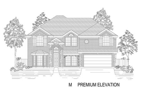 New construction Single-Family house 8555 Meadow Sweet Lane, Fort Worth, TX 76123 - photo 19 19