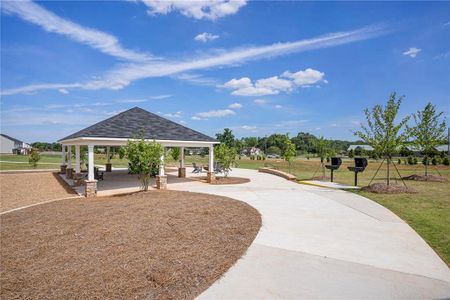 New construction Single-Family house 537 Daffodil Lane, Mcdonough, GA 30253 - photo 37 37