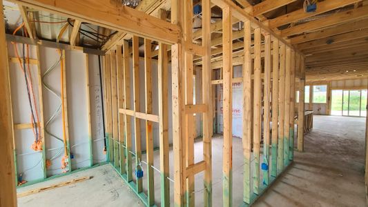 New construction Single-Family house 919 Palo Brea Loop, Hutto, TX 78634 Livingston Homeplan- photo 6 6