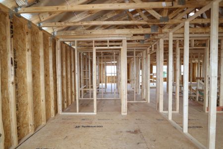 New construction Single-Family house 31823 Sapna Chime Drive, Wesley Chapel, FL 33545 Mira Lago- photo 13 13