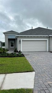 New construction Single-Family house 11734 Great Brook Lane, Parrish, FL 34219 - photo 0