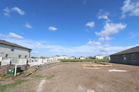 New construction Single-Family house 2956 Marine Grass Drive, Wimauma, FL 33598 Alenza- photo 5 5