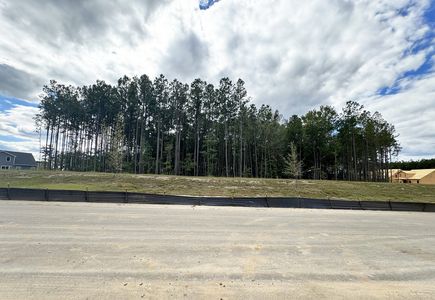New construction Single-Family house 4203 Hollow Wind Way, Summerville, SC 29485 - photo 12 12