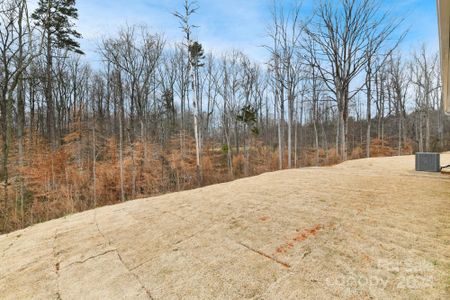 New construction Single-Family house 150 Cotton Field Drive, Unit 16, Statesville, NC 28677 Avery- photo 47 47
