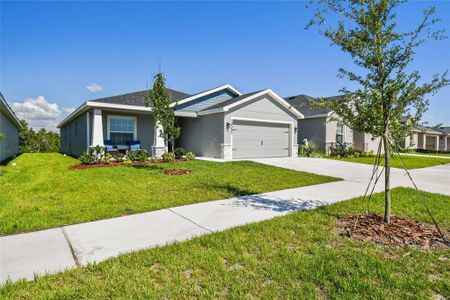 New construction Single-Family house 12350 Terrace Bluff Street, Riverview, FL 33579 - photo 1 1